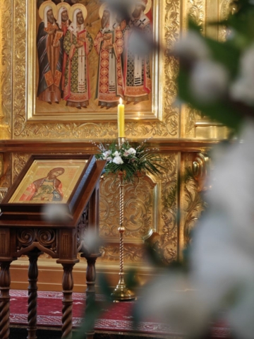 photo_2025-04-13_17-11-41 (2)