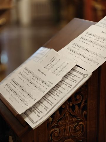 photo_2025-11-03_16-52-21