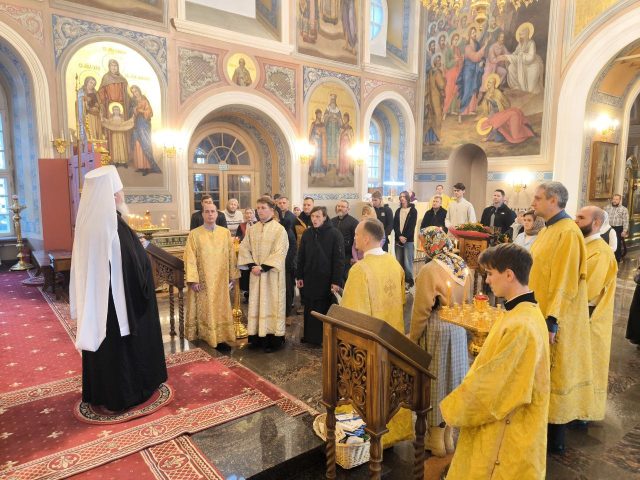 photo_2025-11-16_14-37-14 (2)