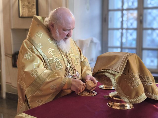 photo_2025-11-16_14-37-17 (2)