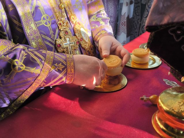 photo_2026-03-22_17-22-32