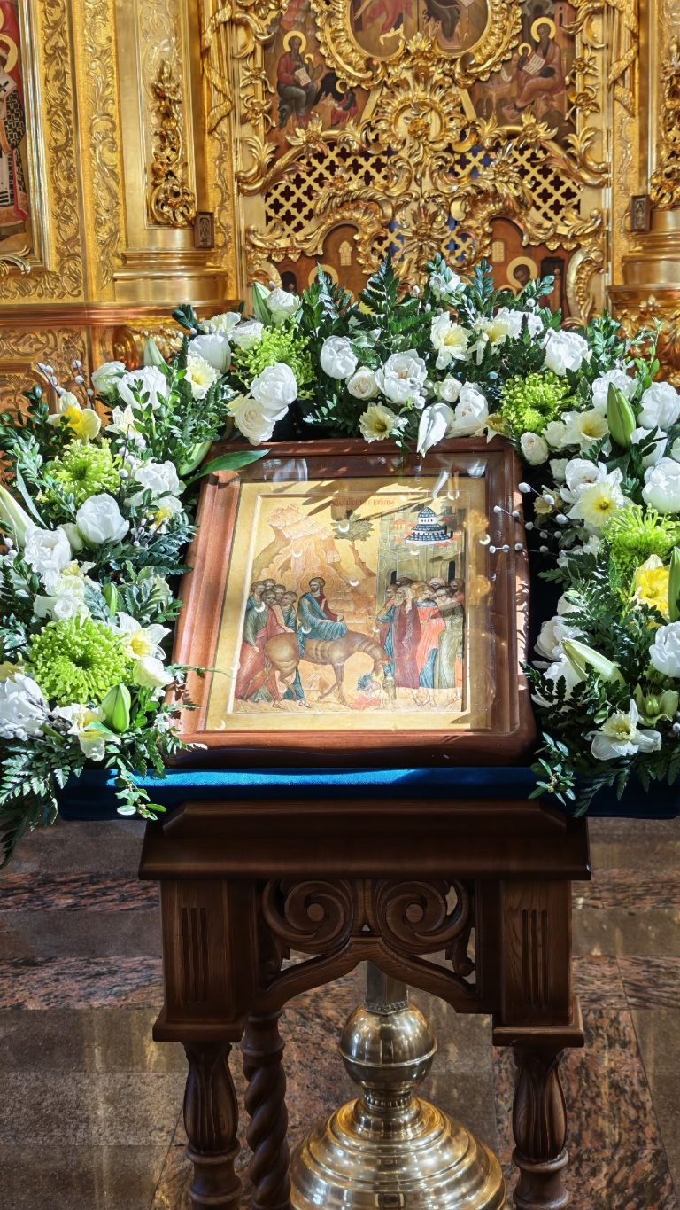 001-r-15ayh6gCV18WqdZll7aHQso5ljlq81I_36RtElMDeQDMYmVVU3HG9VwswvcmDO6VEjD_qWCZTl