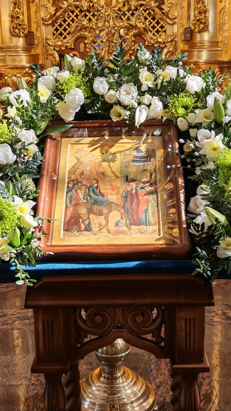 002-qM5dvZJRfwdrZ2vLSyw5Va7IXIu1T3qQb0VvSuV3NE1XAngMc5RYgpr8ZJxTn0JtPBN6LqJyxltQ