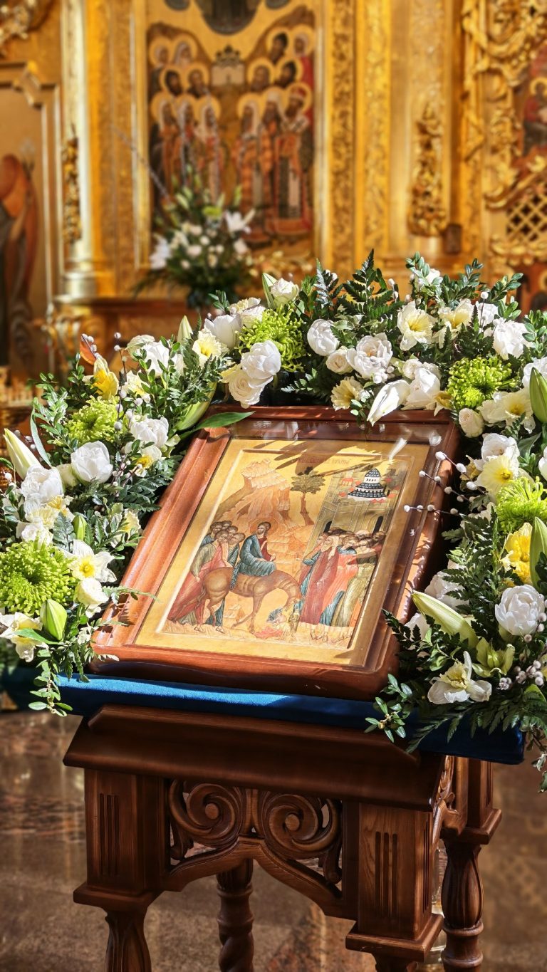 003-HB0GciBgXrv7-DGihyehwAc-bMfoft7pm-dvn0_iFP6Bh6s3cXw5lCqvUP6geWqgr2wTqXh_e6Cy