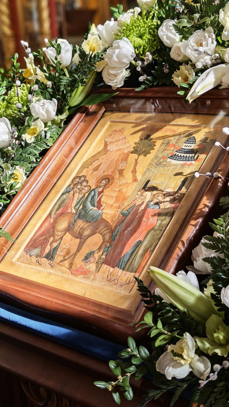 009-q7Z0eUg2JZYDUPxKyCMYe-Z4zj3CgUFlLowin6CDdvkb-6-ylZNS0lDgh7ooKsVG8i6T1W79x7ds