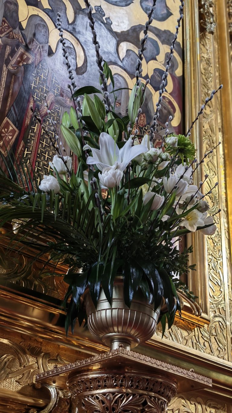 012-f1YdeNltz_eYOl3POZ7HHeGQtpafsew0naWL9SOBwaGjh5_h8UeExHFEHdOcVLxfIVdz4U93iUgD