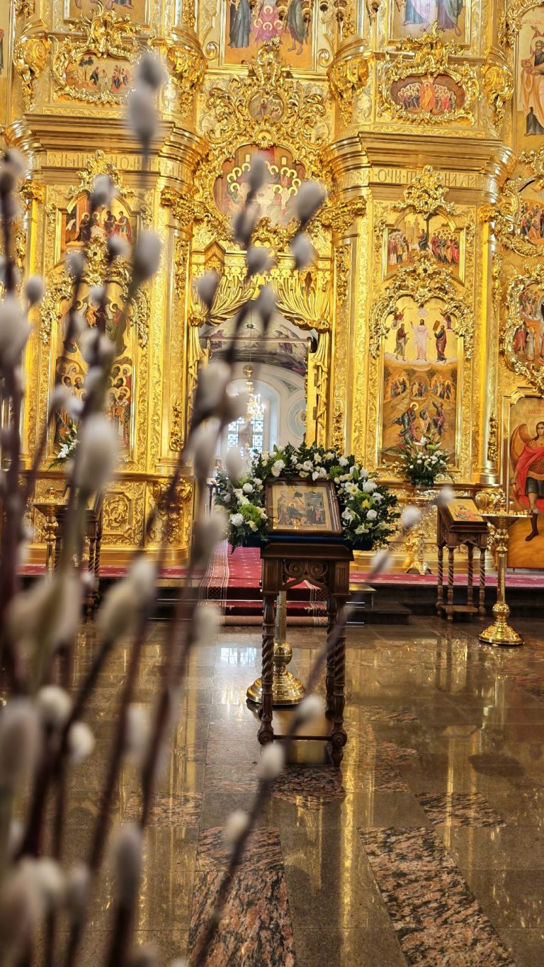 029-WEj00fAipKrYY8wlVvPkyAsT2QtCePYZcntKY7MfNjUdFCjo4NDOJJp5xT-jDi74V0P9VfpE0pA9