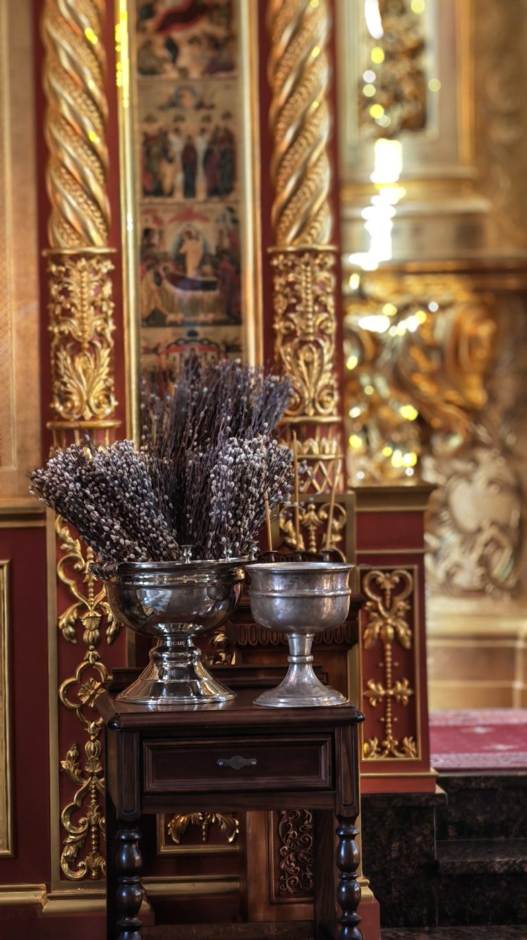 034-vFAHv0H1Ab36ICgIAMddWKL9Xo45-cD6keYCRWJp3Z2U6ISu7g6N9iY-XRaGbcpeqABcVsunTvp7