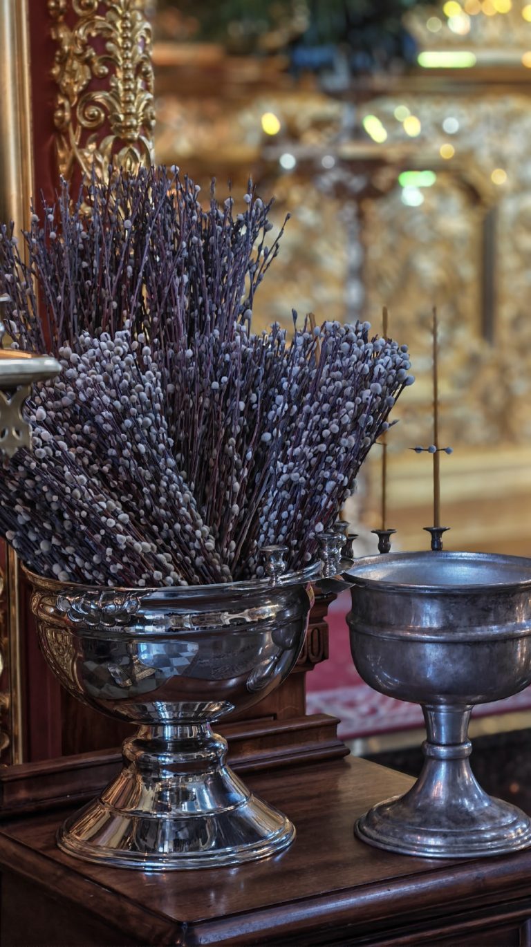 037-6a1G9LajXOELW9spyxJinz4CevGGa8Qh3iN611ulFs8lmzfb_02nc4tzmoLzYx0BBXAYpFdxFVtG