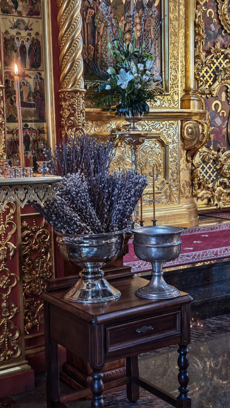 038-34tVHzMk_o1mZ5FizejoIXBO9ZWooUlk2lKUFM5Wdy6JvRilYZNYBaQGkCx27vYBVtAhNIG4HSRY