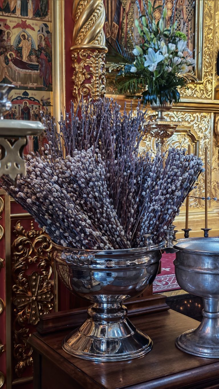 039-ZPjdjlEBFRiX_bpQG3lUm5nQG5FM2N9kfEtEWFvxNVbM-I1lzoUstJrHd0olOVNzMda-Lratesao