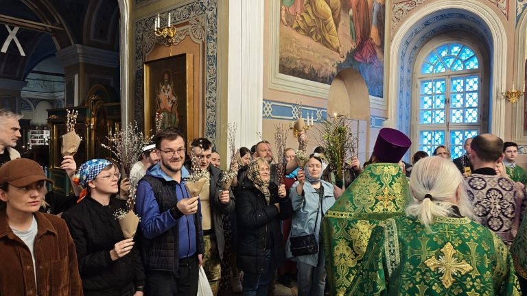 081-hnzDGG3he6tjHyKXj5Da0hGCE-02GrMP8IsEMIF9CZqwfBA5mCmz1C58ji8E5zC1Fpq6M0PuPoP4