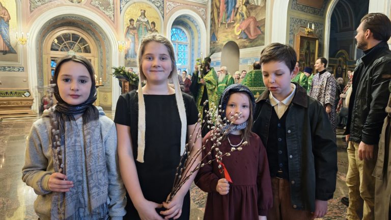 085-QtWEmn21Gp0P24wGkIO7_ekfXPUnm2FklYCkrXNFr5JHpEX8wUH3EZWbL_NlUJeI3g0mPJdpSY1S