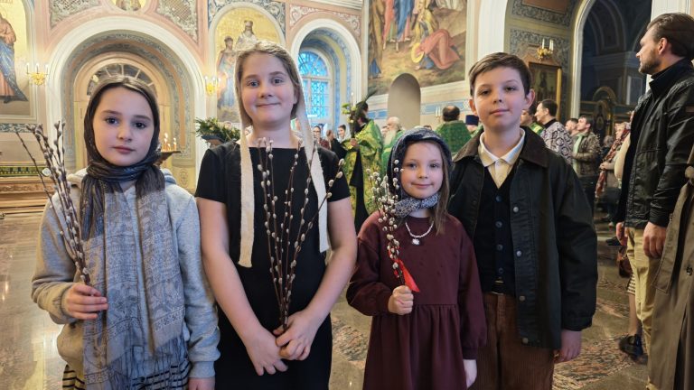 086-L9wU54wZPrw78ENx5oiLQxd-9FWjuVn-IOp7-w_sXn6S1ohhl7FCvaF2ZSjUBvKVDPovfFRedbSE